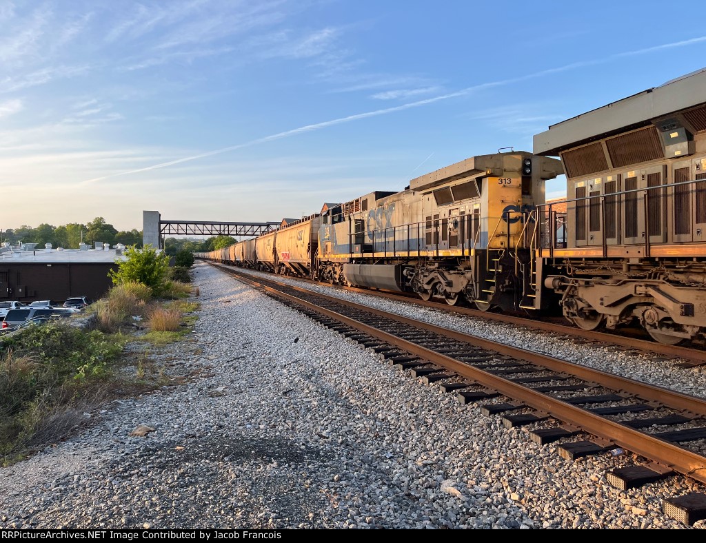 CSX 313